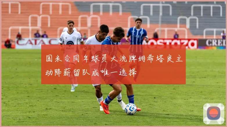 国米合同年球员大洗牌姆希塔良主动降薪留队成唯一选择