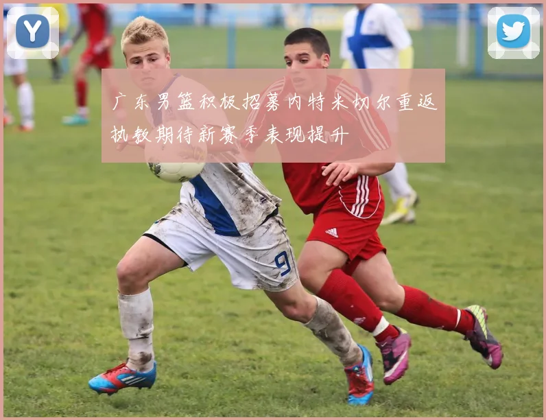 广东男篮积极招募内特米切尔重返执教期待新赛季表现提升