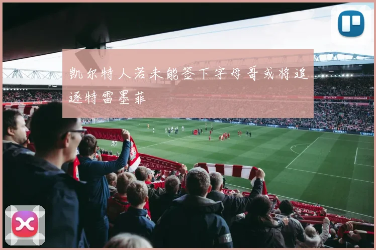 凯尔特人若未能签下字母哥或将追逐特雷墨菲